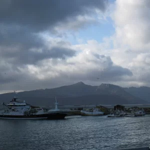 Sommaröy  Kvalöya 2010