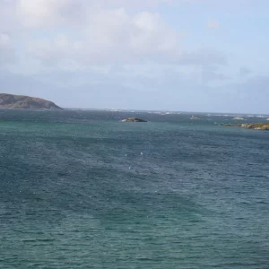 Sommaröy  Kvalöya Herbst 2009