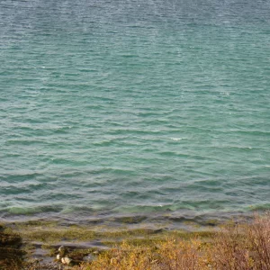 Sommaröy  Kvalöya Herbst 2009