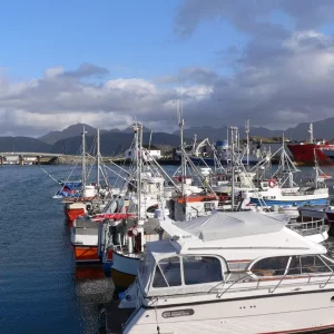 Sommaröy  Kvalöya Herbst 2009