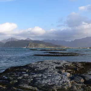 Sommaröy  Kvalöya Herbst 2009