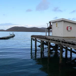 Die Bucht bei Sandneshamn , Bogebukta vor dem Haus