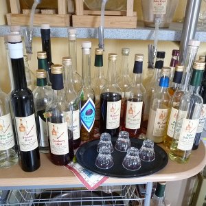 k dafnaftreffen07