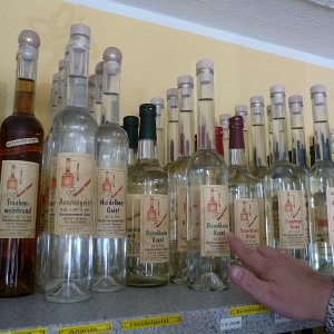 k dafnaftreffen08