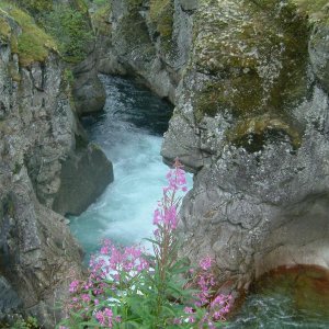 NORWEGEN ANGELN 05 183