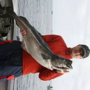 Thilo Pagel mit Seelachs