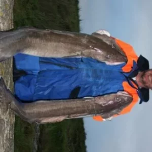 Poplow mit zwei Lengfischen