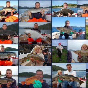 Collage Fische 1 Dönna 2009