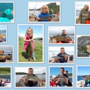 Collage Fische 2 Dönna 2009