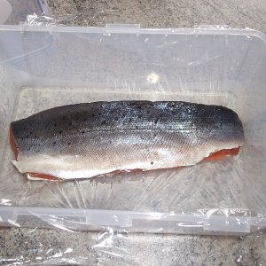 Graved Lachs
