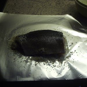 Graved Lachs4