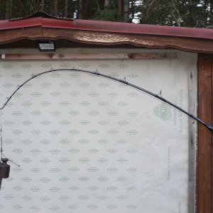 Penn Millenium altes Modell 30 lbs
Länge: 2,01 m
Belastung: 3kg ; 43°