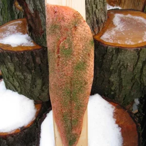 Räuchern zu Weihnachten 002