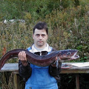 Blau Leng110 Dragsvik