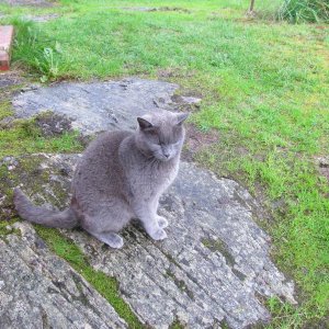 Besuch am  haus ! alle jahre wieder