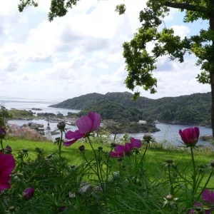 come2norway.com , Ferienhaus Panorama auf Hidra