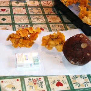 URLAUB  September 2004 026