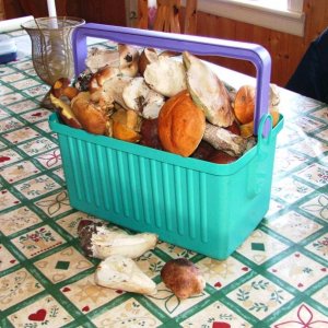 URLAUB  September 2004 064