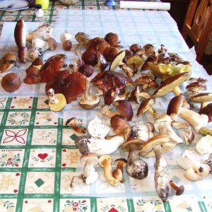 URLAUB  September 2004 065