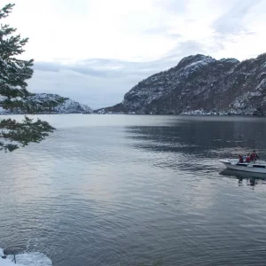 Norwegen,Winter 2009,2010 017