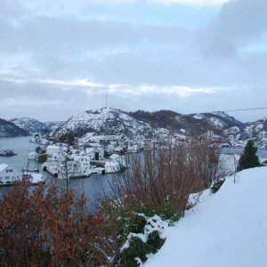 Norwegen,Winter 2009,2010 030