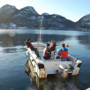 Norwegen,Winter 2009,2010 061