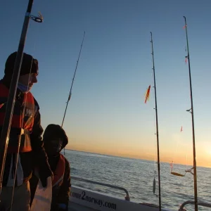 Winter in Norwegen 2009/2010, Ferienhaus Anders auf Hidra.
Die abenteuerliche Reise der Familie Kathöfer