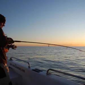 Winter in Norwegen 2009/2010, Ferienhaus Anders auf Hidra.
Die abenteuerliche Reise der Familie Kathöfer
