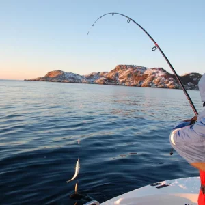 Winter in Norwegen 2009/2010, Ferienhaus Anders auf Hidra.
Die abenteuerliche Reise der Familie Kathöfer