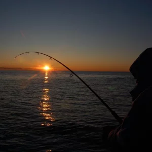 Winter in Norwegen 2009/2010, Ferienhaus Anders auf Hidra.
Die abenteuerliche Reise der Familie Kathöfer