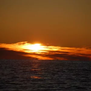 Norwegen,Winter 2009,2010 160