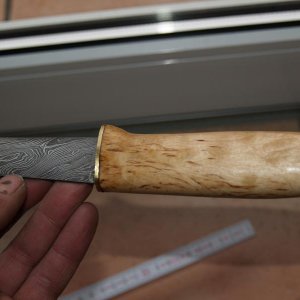 P1295982