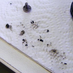 Abrib vom Bremstrommeldeckel durch montagefehler  des Besitzers