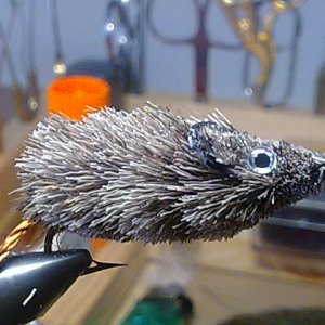 und hier  nach der Schnippelei 
dieses mal auf einem Sz 1 Mustad
80500BL Classic