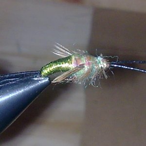 Steinfliegennympfe 
haken größe 10