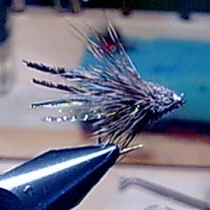 Muddler 
gebunden auf einen  10 hayabusa Haken Schwänchen Specktraflasch grün Körper Ice Dub golden braun 1.Schwinge CDC weiß 
2. Pfauengras Kopf Re