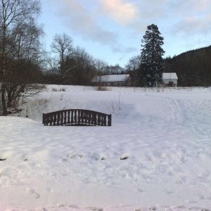 winter2010 14