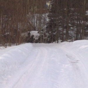 winter2010 17