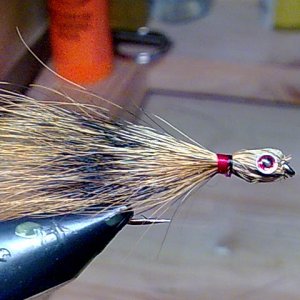 Streamer auf 8er Hayabusa Haken 
Material Eichhörnchenschwanz