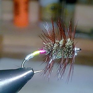 The green Maschine
Haken Hayabusa Klinkhammer #10