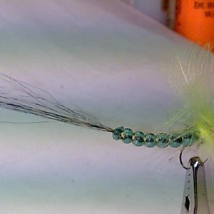 Mayfly CDC