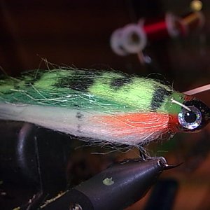 Streamer mit Epoxy Kopf