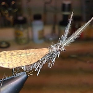 Slovenian Sedge Handmade