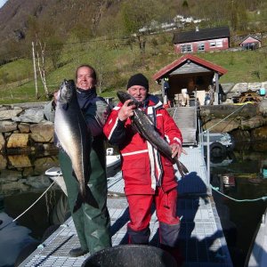 metrischer Seelachs und schöner Seehecht