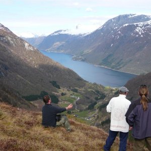 schöner Ausblick auf den Dalsfjord