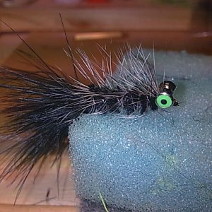 Wolly Bugger #8