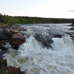 Jockfall