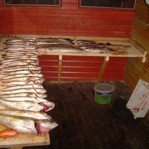 DSC01399