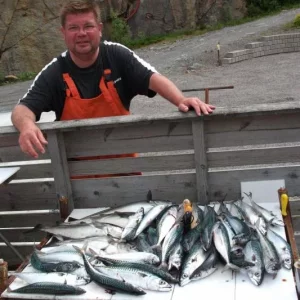 Bilder Bericht 2010 Bild 11