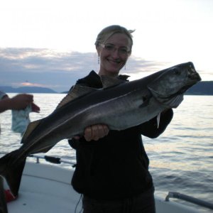 Romsdalfjord 2010 045